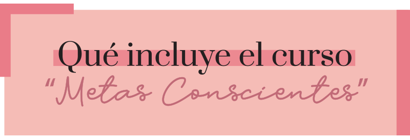 que-incluye-new